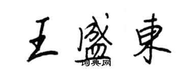 王正良王盛東行書個性簽名怎么寫