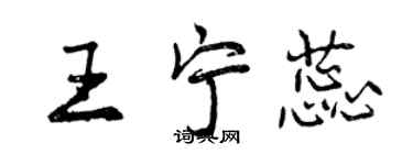 曾慶福王寧蕊行書個性簽名怎么寫