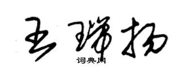 朱錫榮王瑞揚草書個性簽名怎么寫