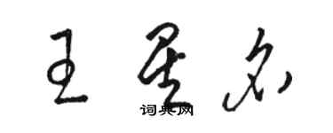 駱恆光王星名草書個性簽名怎么寫