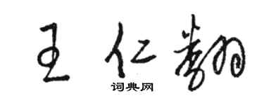 駱恆光王仁翻草書個性簽名怎么寫