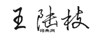 駱恆光王陸枝行書個性簽名怎么寫