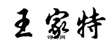 胡問遂王家特行書個性簽名怎么寫
