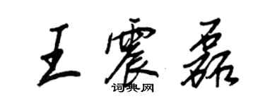 王正良王震磊行書個性簽名怎么寫