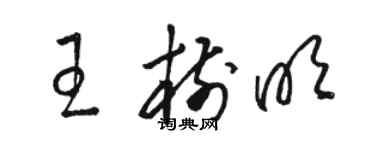 駱恆光王樹明草書個性簽名怎么寫