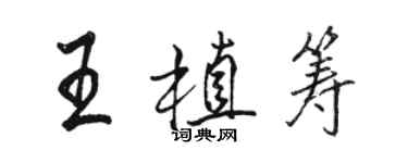 駱恆光王植籌行書個性簽名怎么寫