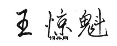 駱恆光王驚魁行書個性簽名怎么寫