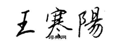 王正良王寒陽行書個性簽名怎么寫