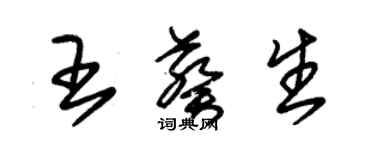 朱錫榮王葵生草書個性簽名怎么寫