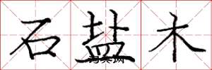 龐中華石鹽木楷書怎么寫