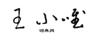 駱恆光王小唯草書個性簽名怎么寫