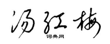 梁錦英湯紅梅草書個性簽名怎么寫