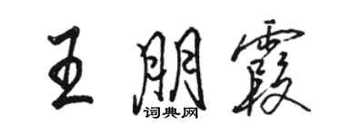 駱恆光王朋霞行書個性簽名怎么寫
