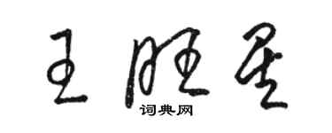 駱恆光王旺星草書個性簽名怎么寫