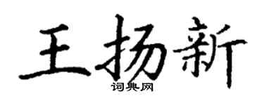 丁謙王揚新楷書個性簽名怎么寫