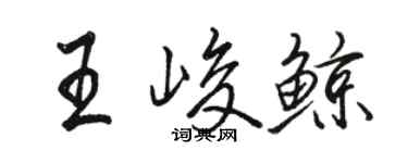 駱恆光王峻鯨行書個性簽名怎么寫