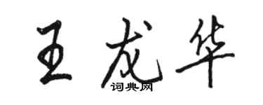 駱恆光王龍華行書個性簽名怎么寫