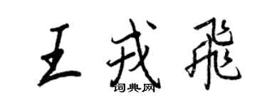 王正良王戎飛行書個性簽名怎么寫