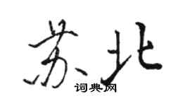 駱恆光蘇北行書個性簽名怎么寫