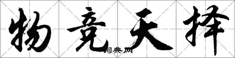 胡問遂物競天擇行書怎么寫