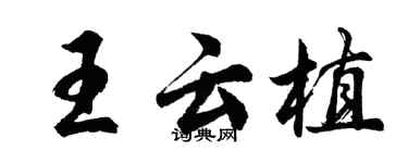 胡問遂王雲植行書個性簽名怎么寫