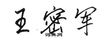 駱恆光王密軍行書個性簽名怎么寫