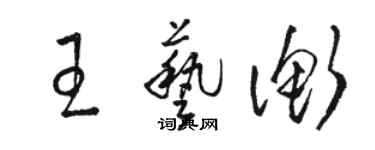 駱恆光王藝衡草書個性簽名怎么寫