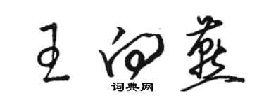 駱恆光王向燕草書個性簽名怎么寫