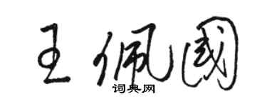 駱恆光王佩國草書個性簽名怎么寫