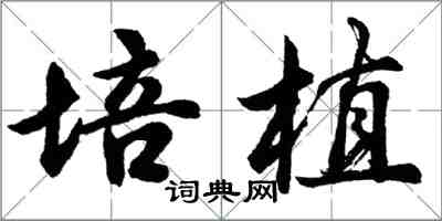 胡問遂培植行書怎么寫