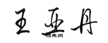 駱恆光王亞丹行書個性簽名怎么寫