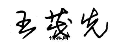 朱錫榮王茂先草書個性簽名怎么寫