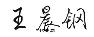 駱恆光王晨鋼行書個性簽名怎么寫