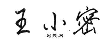 駱恆光王小密行書個性簽名怎么寫