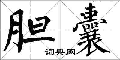 翁闓運膽囊楷書怎么寫