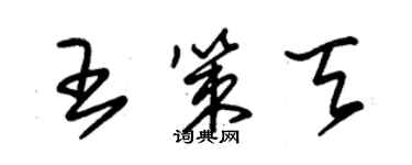 朱錫榮王策天草書個性簽名怎么寫