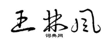 曾慶福王林風草書個性簽名怎么寫