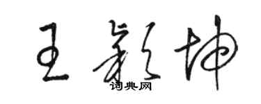 駱恆光王穎坤草書個性簽名怎么寫