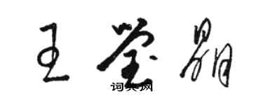 駱恆光王瑩晶草書個性簽名怎么寫