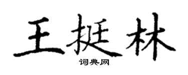丁謙王挺林楷書個性簽名怎么寫
