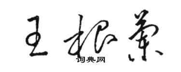 駱恆光王根蘭草書個性簽名怎么寫