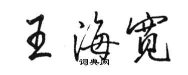 駱恆光王海寬行書個性簽名怎么寫