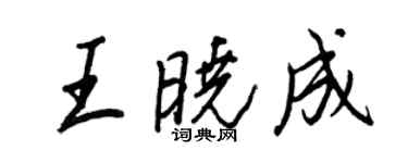 王正良王曉成行書個性簽名怎么寫