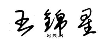 朱錫榮王錦星草書個性簽名怎么寫