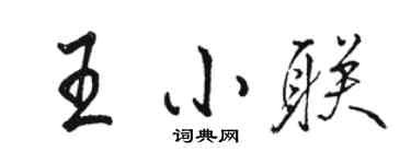 駱恆光王小聯行書個性簽名怎么寫