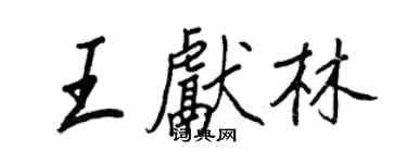 王正良王獻林行書個性簽名怎么寫