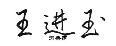 駱恆光王進玉行書個性簽名怎么寫