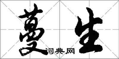 胡問遂蔓生行書怎么寫