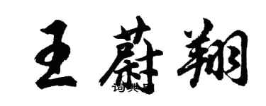 胡問遂王蔚翔行書個性簽名怎么寫