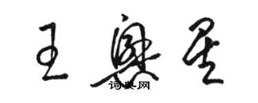 駱恆光王興星草書個性簽名怎么寫